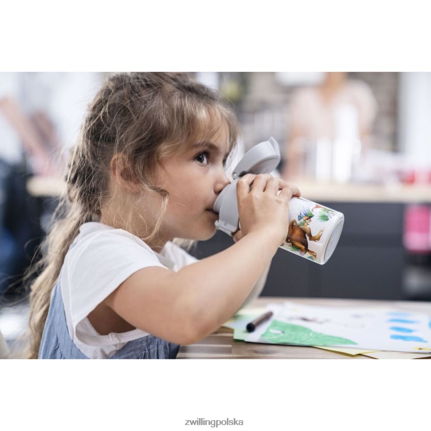 kuchnia pl Zwilling Dinos Dinos butelka do picia, 350 ml, stal nierdzewna, biało-szara 48N488534