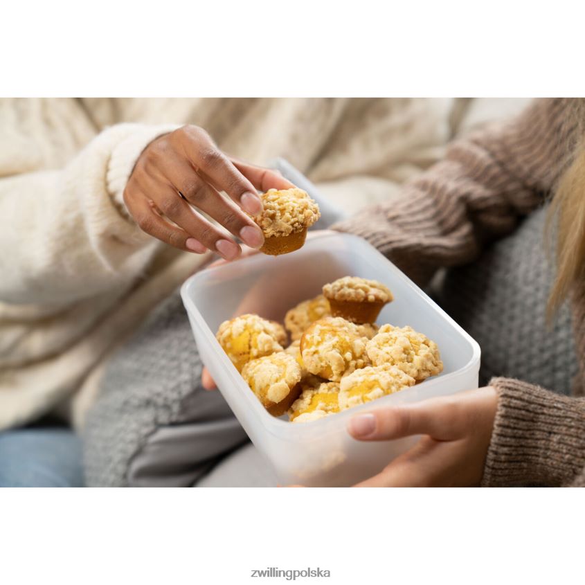 kuchnia pl Zwilling Pojemnik próżniowy do lodówki Fresh & Save, plastikowy, półprzezroczysto-szary 48N488486